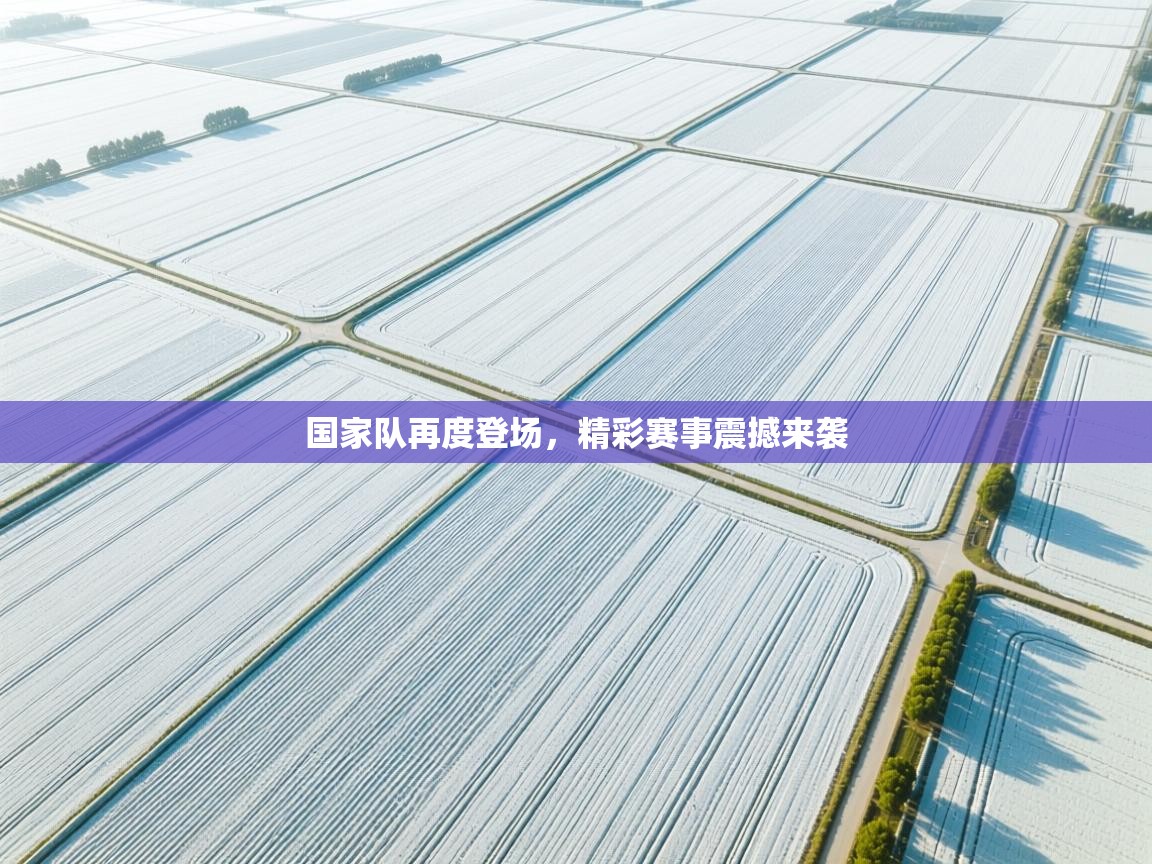 国家队再度登场,精彩赛事震撼来袭 第1张