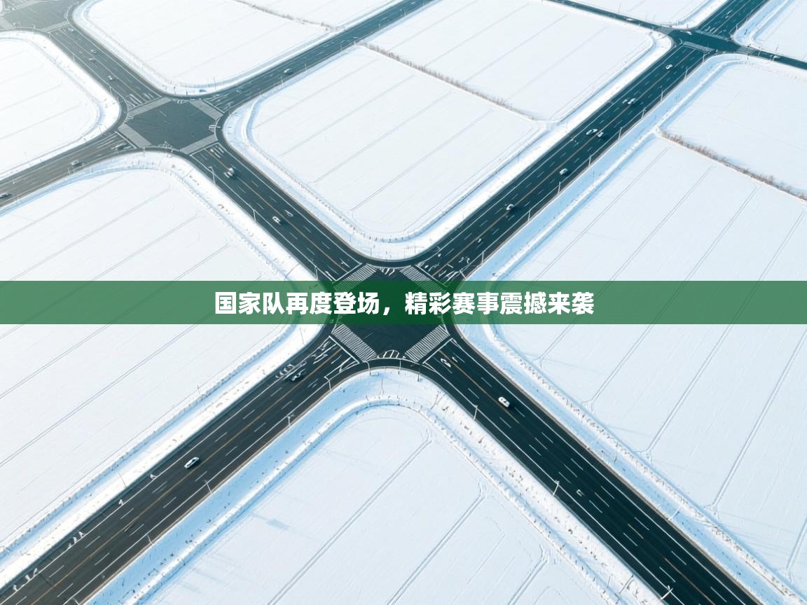 国家队再度登场,精彩赛事震撼来袭 第2张