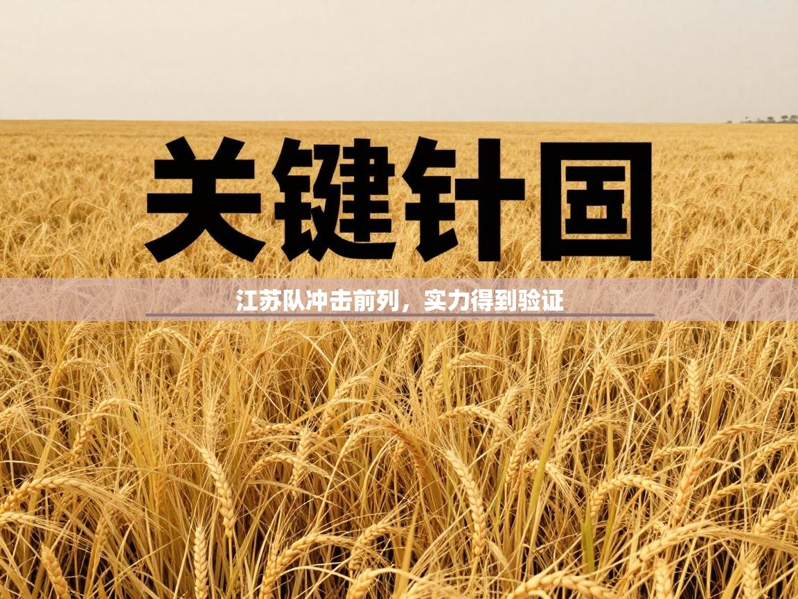 江苏队冲击前列，实力得到验证  第1张