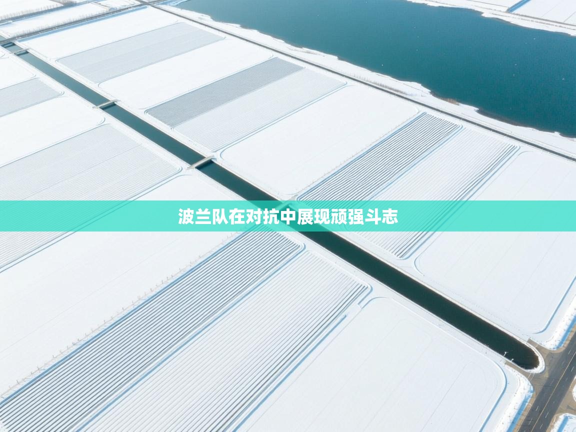 波兰队在对抗中展现顽强斗志  第1张